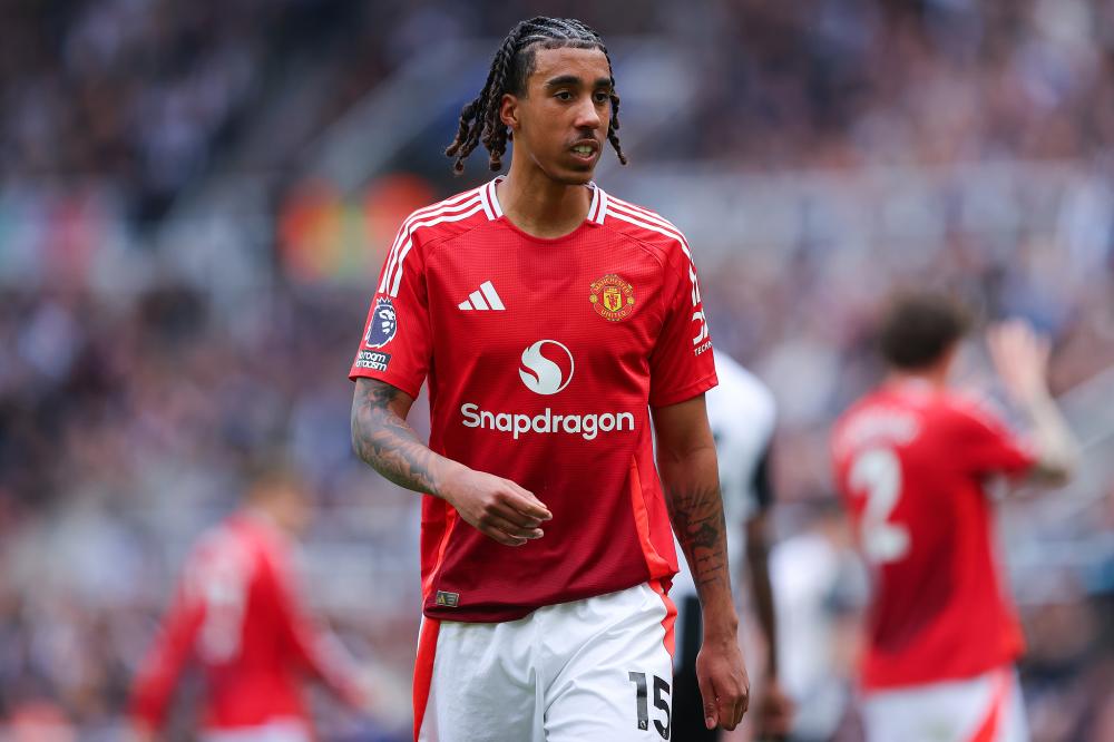 窗口提供了 窗口提供了